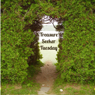 Treasure Seeker Tuesday: Photo by Tish MacWebber; Photo Edited by Noa Price